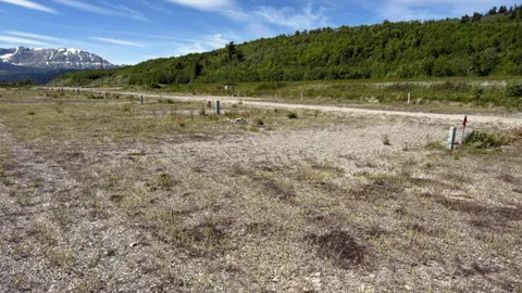 Standard Pull-Through RV Site — image 1 of 1