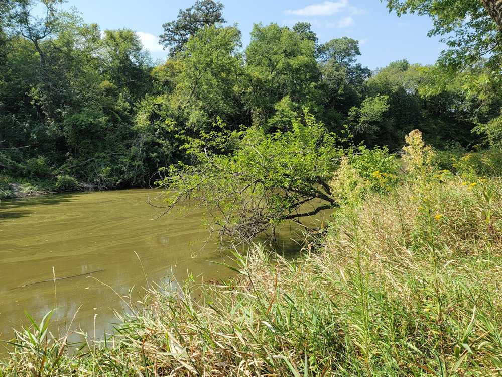 Dallas County Fairgrounds Campground - Photo 2