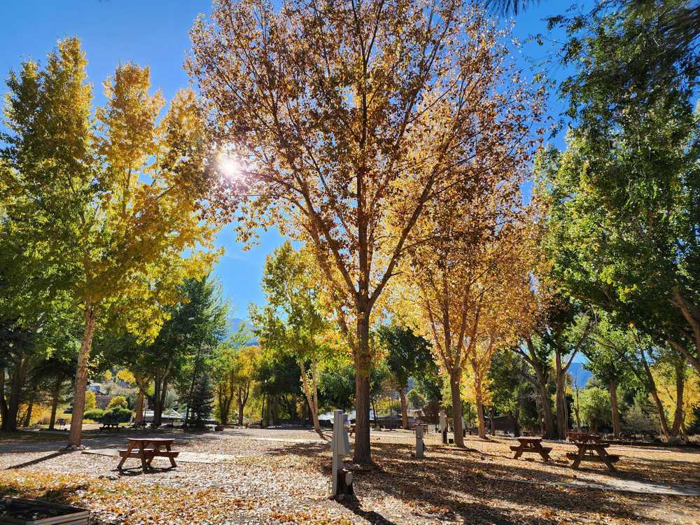 Pleasant Valley RV Park, Howard, Colorado - Photo 3