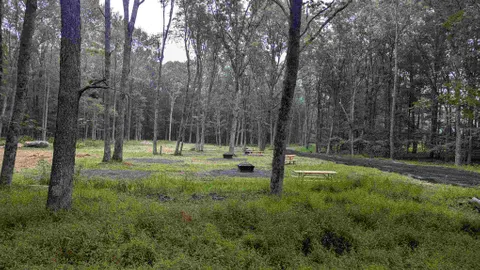 Tent Site (Large) — image 6 of 6