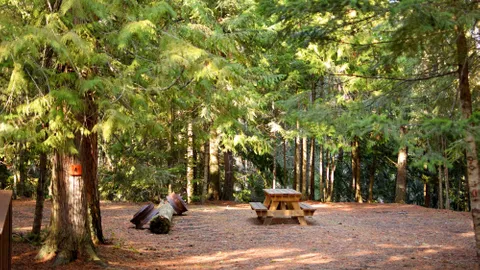 Dry Camping — image 1 of 2