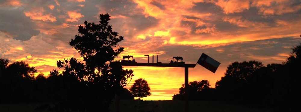 7IL Ranch - Photo 2