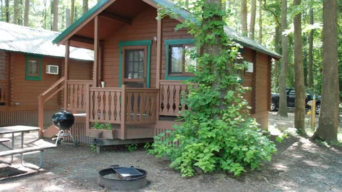 Barebones Cabin — image 2 of 10