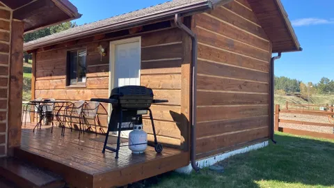 Basic Cabin - Sleeps 4-5 — image 1 of 4