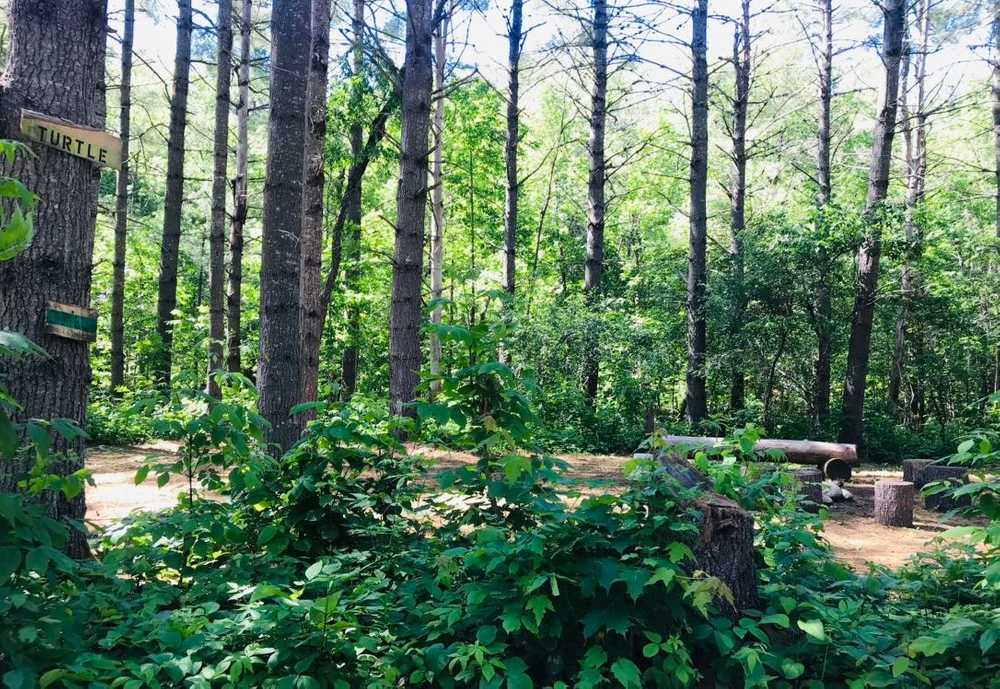 West Forks Family Campground West Forks, Maine Campspot