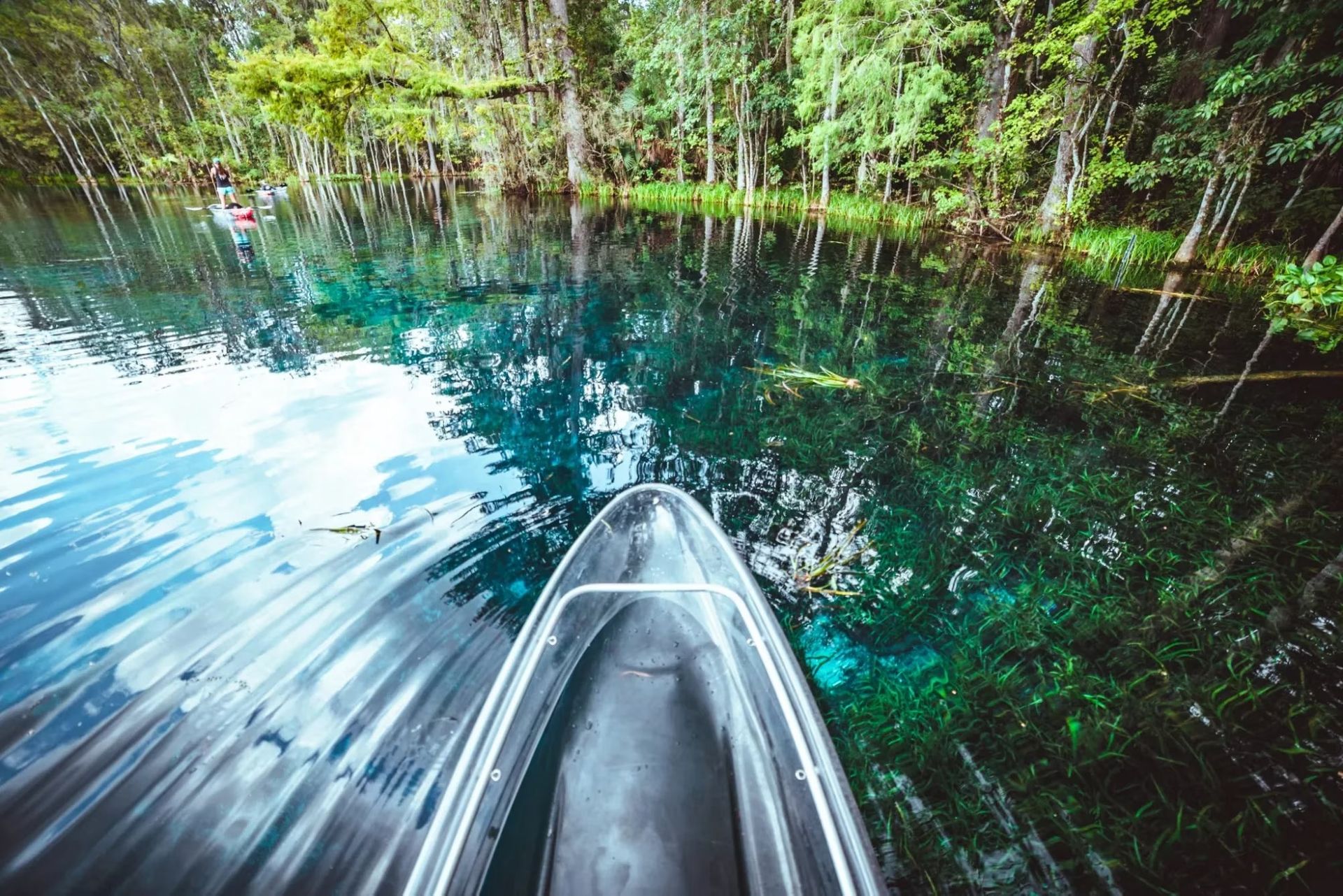 Tall Timbers - Silver Springs