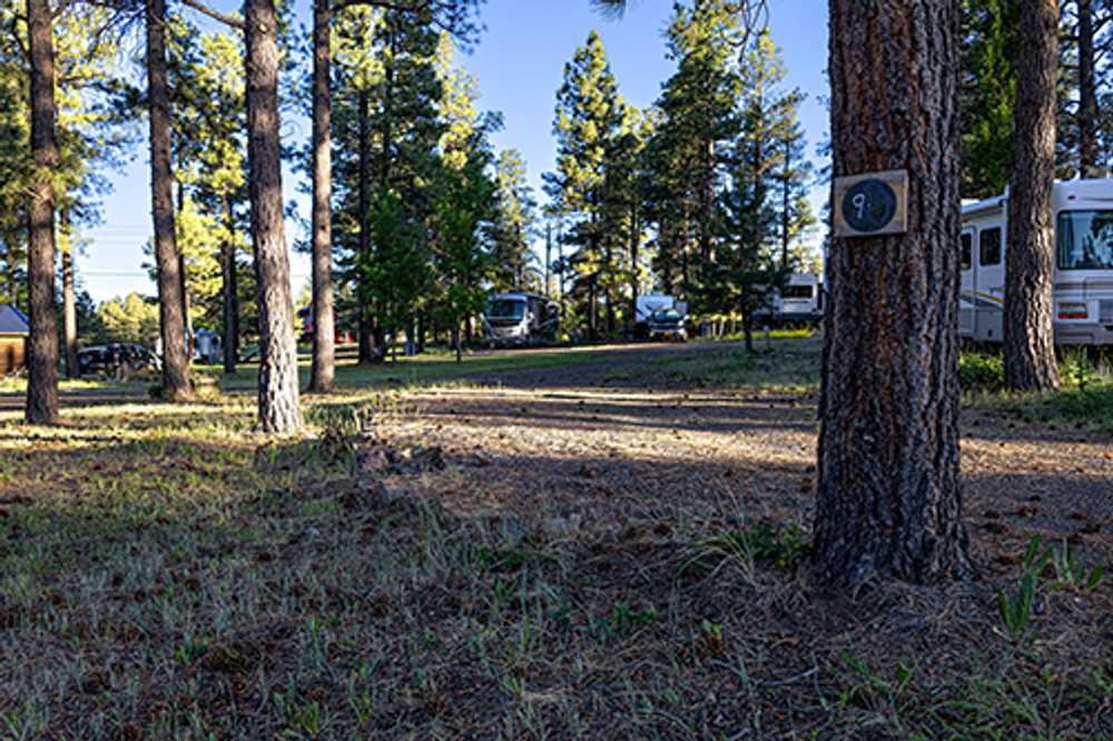 Basecamp Pagosa, Pagosa Springs, Colorado - Photo 4