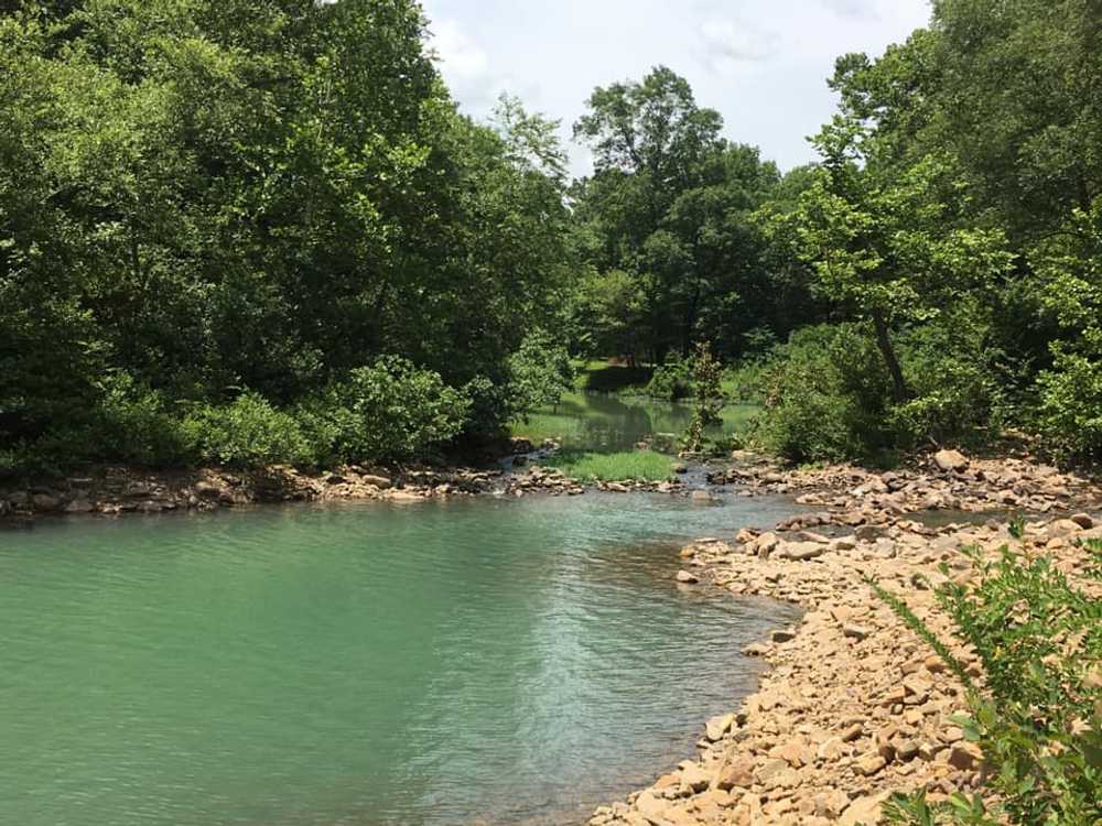 Cucumber Creek RV Park - Photo 3