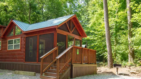 Pine Forest Cabin — image 1 of 22