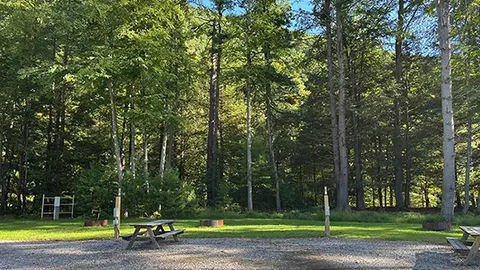 Electric Gravel Back Loop — image 9 of 9