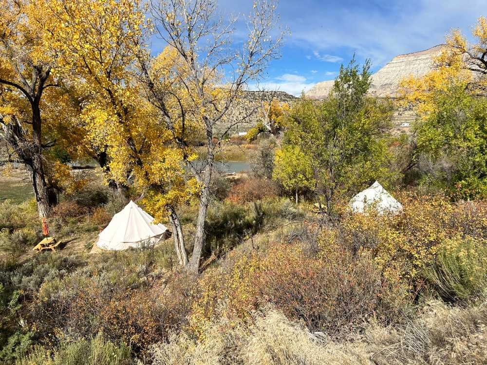 Park Image 5
