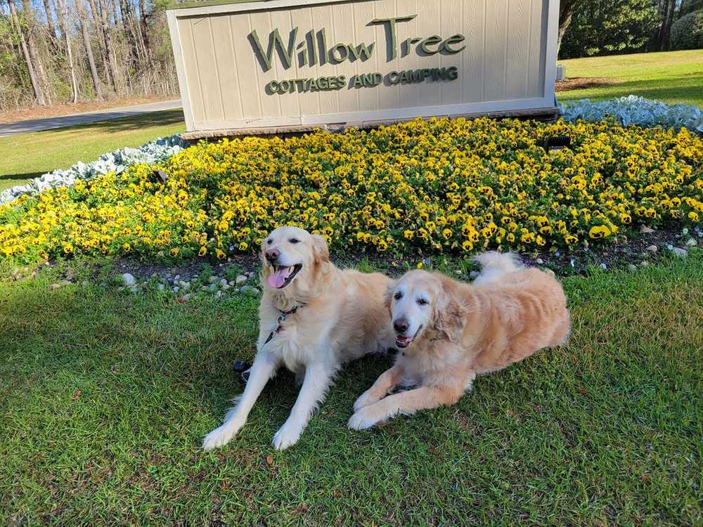 WillowTree RV Resort - Photo 3