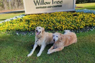 WillowTree RV Resort – photo 3