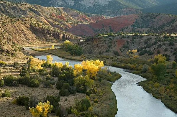 Down Home Lodge & Family RV Resort campground