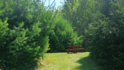 Small Riverview Site — image 1 of 1