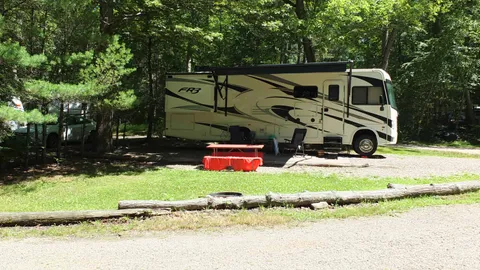 Full Hook-Up RV Site — image 1 of 1