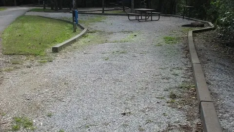 20/30/50 Standard Pull-Thru RV Site — image 1 of 9