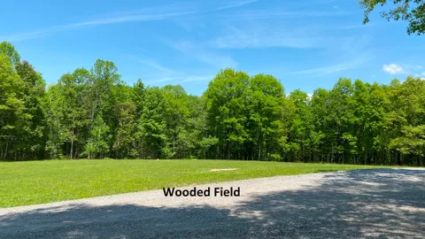 Wooded Primitive — image 2 of 4