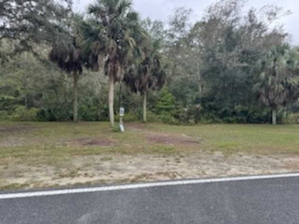 Hinton Landing - Old Town, FL - Photo 3