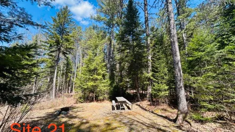 WOODED SITE 21 — image 1 of 4