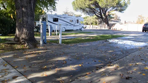 OFF WATER - Back in — image 4 of 4