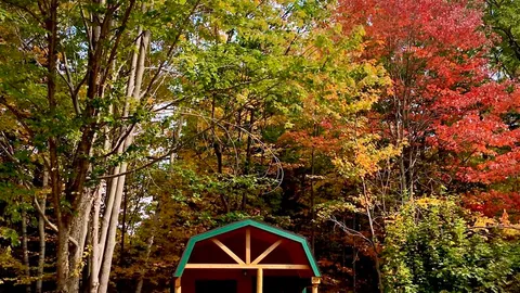 Lofted Cabin  75, 79, 81 Pet Friendly — image 1 of 4