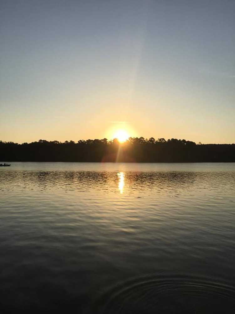 Shirley Creek Marina Campground & RV Park - Main Photo