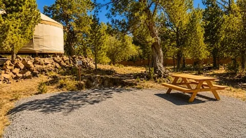 S8 – Economy Campervan  (20×23) — image 1 of 10