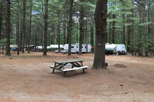 Pine Ridge Park Campsite – photo 3