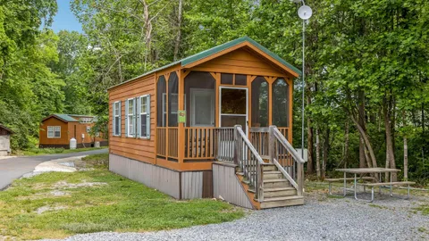 Cindy Bear Deluxe Cabin — image 1 of 12