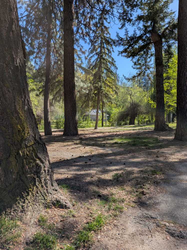 Park Image 5