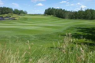 Coal Creek Golf Resort – photo 5