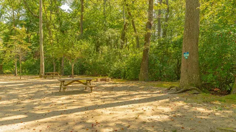 Tent Site — image 1 of 3