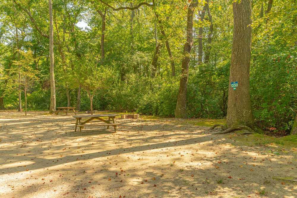 Tent Site
