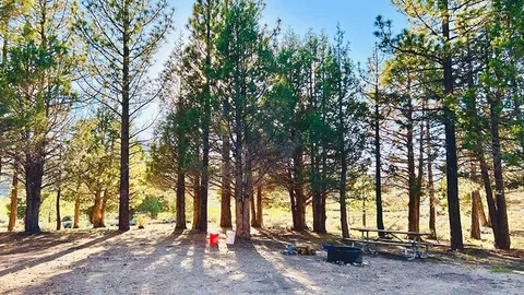 Meadow Edge Large — image 2 of 4