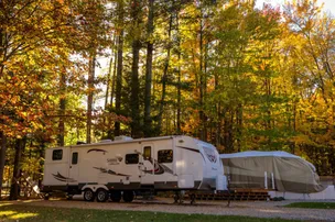 Sun Retreats Wild Acres – photo 3
