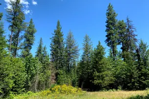 Camp Easton – photo 3