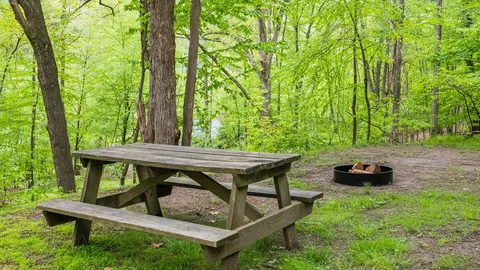 Rustic Tent — image 4 of 4