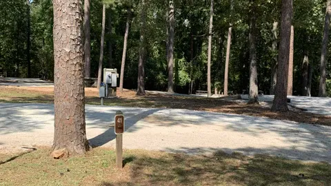 50 AMP Savannah River Interior Pull-Thru Campsite — image 2 of 6