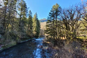 Trask River County Campground – photo 4