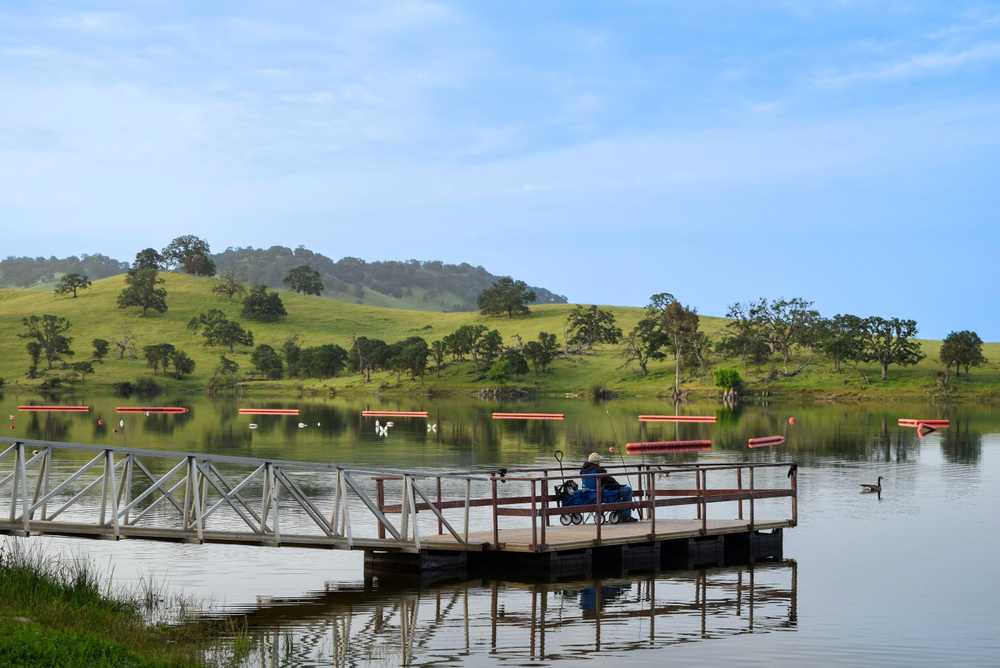 Lake McSwain Campground and Recreation Area - Snelling, CA - Photo 5