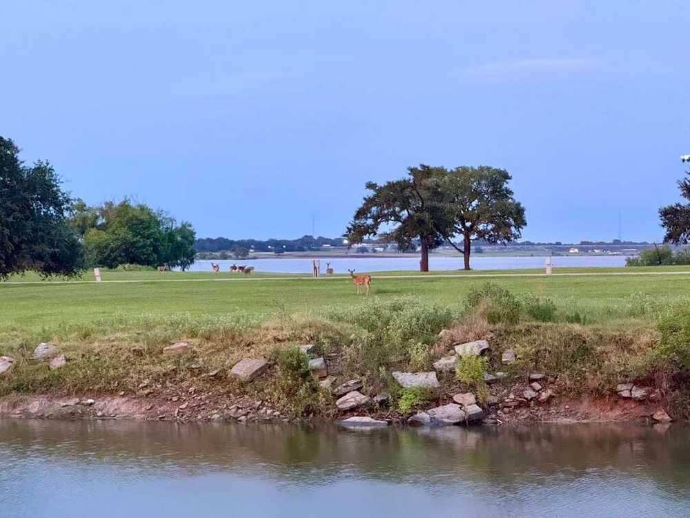 Park Image 5
