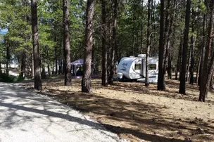 Newgate Sandy Shores Campground – photo 5