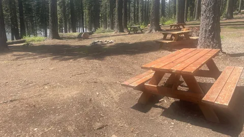 Stonefly -Large Group Camp — image 1 of 2