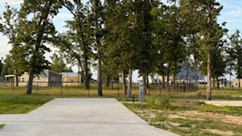 Grove Back In — image 1 of 1