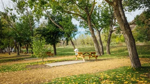 Full Service (East Park) — image 1 of 1