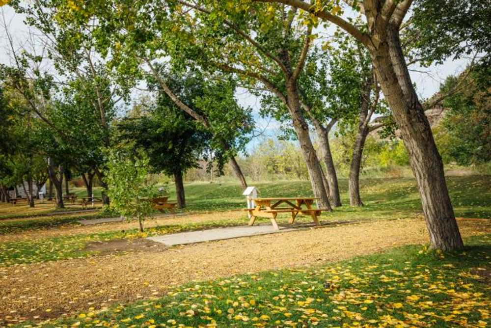 Full Service (East Park)