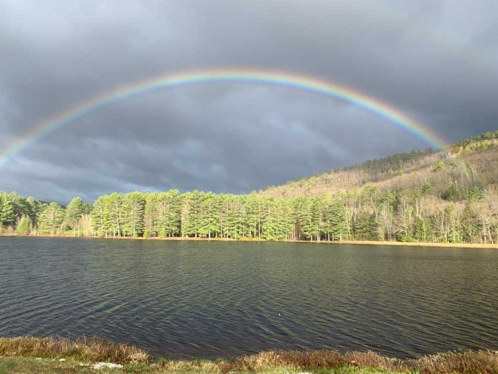 Loon Lake Campground - Photo 4