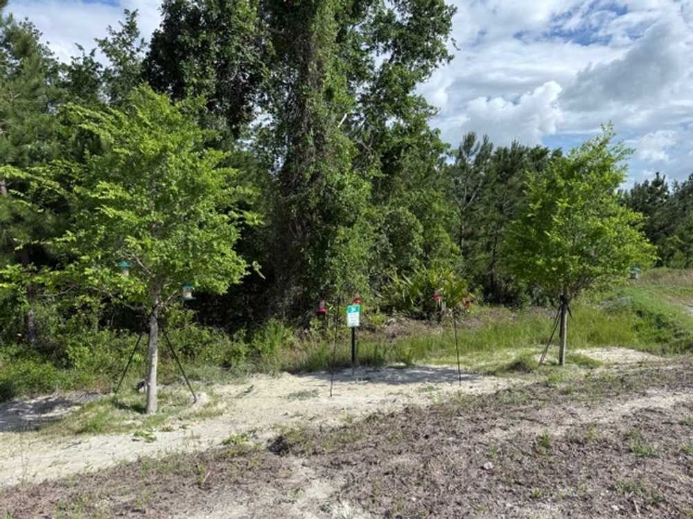 Sharrah’s RV Park, Lake City, Florida - Main Photo