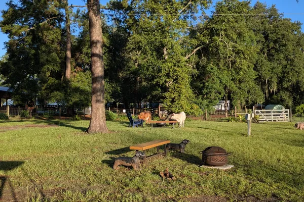 Rooterville Animal Sanctuary – photo 1